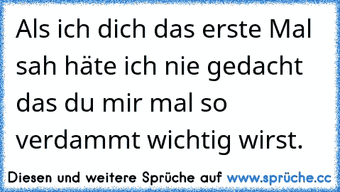 Als ich dich das erste Mal sah häte ich nie gedacht das du mir mal so verdammt wichtig wirst. ♥