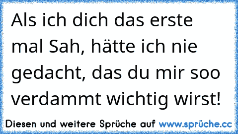 Als ich dich das erste mal Sah, hätte ich nie gedacht, das du mir soo verdammt wichtig wirst!♥