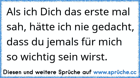 Als ich Dich das erste mal sah, hätte ich nie gedacht, dass du jemals für mich so wichtig sein wirst.