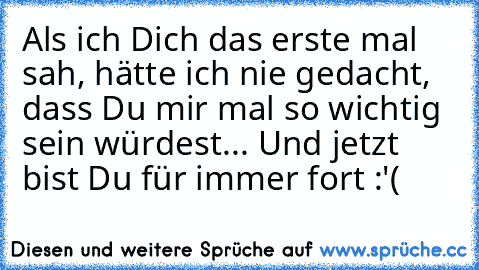 Als ich Dich das erste mal sah, hätte ich nie gedacht, dass Du mir mal so wichtig sein würdest... Und jetzt bist Du für immer fort :'( ♥