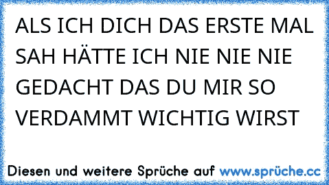 ALS ICH DICH DAS ERSTE MAL SAH HÄTTE ICH NIE NIE NIE GEDACHT DAS DU MIR SO VERDAMMT WICHTIG WIRST ♥