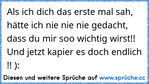 Als ich dich das erste mal sah, hätte ich nie nie nie gedacht, dass du mir soo wichtig wirst!! Und jetzt kapier es doch endlich !! ): ♥