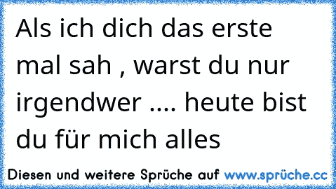 Als ich dich das erste mal sah , warst du nur irgendwer .... heute bist du für mich alles  ♥