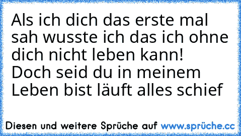 Als ich dich das erste mal sah wusste ich das ich ohne dich nicht leben kann! ♥ Doch seid du in meinem Leben bist läuft alles schief ♥