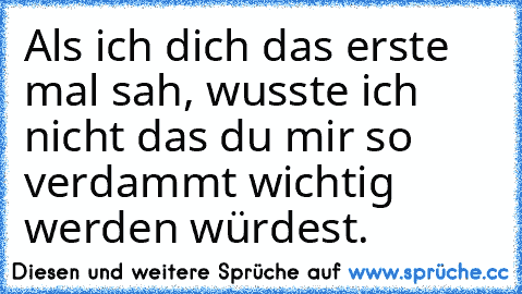 Als ich dich das erste mal sah, wusste ich nicht das du mir so verdammt wichtig werden würdest. ♥