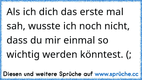 Als ich dich das erste mal sah, wusste ich noch nicht, dass du mir einmal so wichtig werden könntest. (;