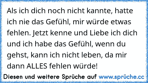 Als ich dich noch nicht kannte, hatte ich nie das Gefühl, mir würde etwas fehlen. Jetzt kenne und Liebe ich dich und ich habe das Gefühl, wenn du gehst, kann ich nicht leben, da mir dann ALLES fehlen würde!