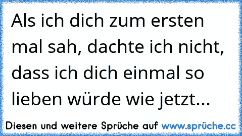 Als ich dich zum ersten mal sah, dachte ich nicht, dass ich dich einmal so lieben würde wie jetzt...♥