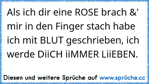 Als ich dir eine ROSE brach &' mir in den Finger stach habe ich mit BLUT geschrieben, ich werde DiiCH iiMMER LiiEBEN.♥♥♥♥