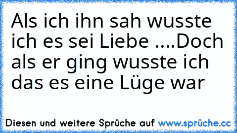 Als ich ihn sah wusste ich es sei Liebe ....
Doch als er ging wusste ich das es eine Lüge war