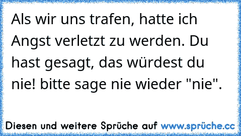 Als wir uns trafen, hatte ich Angst verletzt zu werden. Du hast gesagt, das würdest du nie! bitte sage nie wieder "nie".