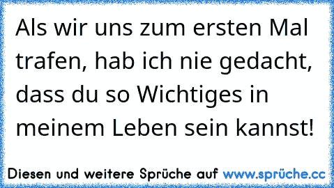 Als wir uns zum ersten Mal trafen, hab ich nie gedacht, dass du so Wichtiges in meinem Leben sein kannst! ♥