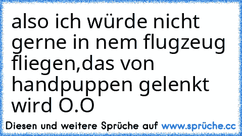 also ich würde nicht gerne in nem flugzeug fliegen,das von handpuppen gelenkt wird O.O