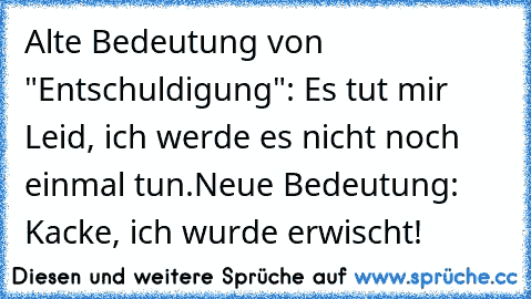 Alte Bedeutung von "Entschuldigung": Es tut mir Leid, ich werde es nicht noch einmal tun.
Neue Bedeutung: Kacke, ich wurde erwischt!