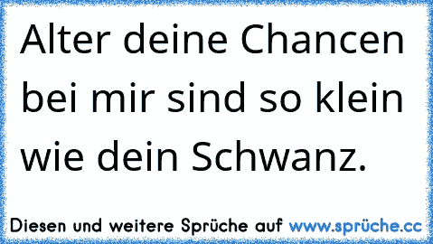 Alter deine Chancen bei mir sind so klein wie dein Schwanz.