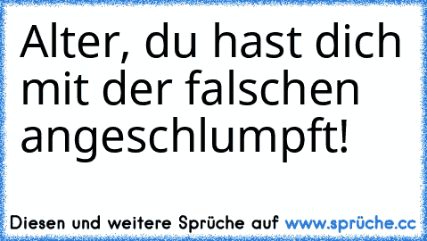 Alter, du hast dich mit der falschen angeschlumpft!