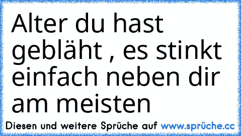 Alter du hast gebläht , es stinkt einfach neben dir am meisten