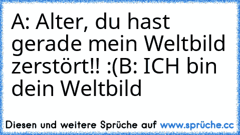 A: Alter, du hast gerade mein Weltbild zerstört!! :(
B: ICH bin dein Weltbild