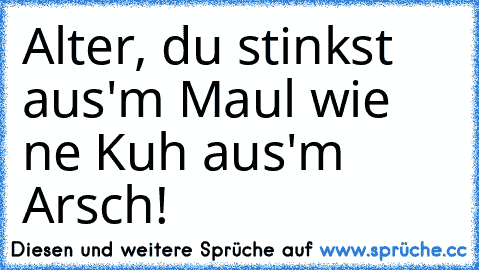 Alter, du stinkst aus'm Maul wie ne Kuh aus'm Arsch!