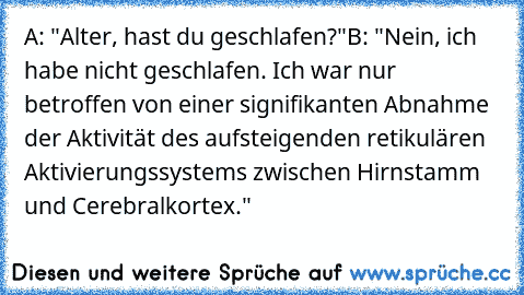 A: "Alter, hast du geschlafen?"
B: "Nein, ich habe nicht geschlafen. Ich war nur betroffen von einer signifikanten Abnahme der Aktivität des aufsteigenden retikulären Aktivierungssystems zwischen Hirnstamm und Cerebralkortex."