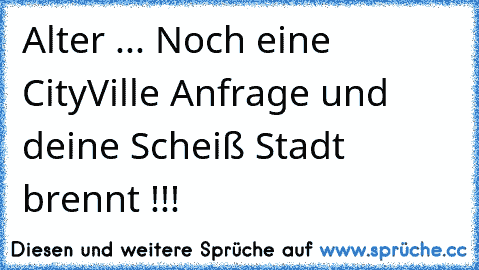 Alter ... Noch eine CityVille Anfrage und deine Scheiß Stadt brennt !!!