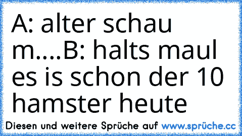 A: alter schau m....
B: halts maul es is schon der 10 hamster heute