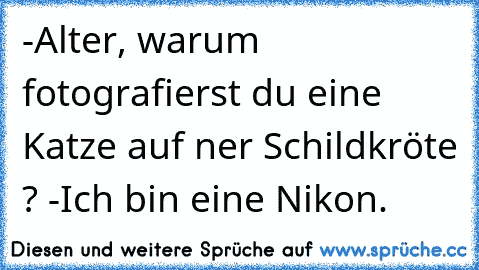 -Alter, warum fotografierst du eine Katze auf ner Schildkröte ? 
-Ich bin eine Nikon.