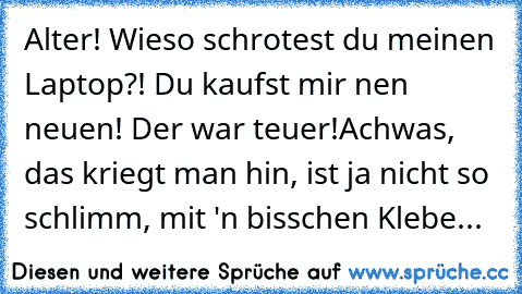 Alter! Wieso schrotest du meinen Laptop?! Du kaufst mir nen neuen! Der war teuer!
Achwas, das kriegt man hin, ist ja nicht so schlimm, mit 'n bisschen Klebe...