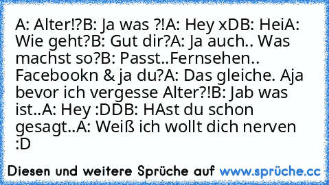 A: Alter!?
B: Ja was ?!
A: Hey xD
B: Hei
A: Wie geht?
B: Gut dir?
A: Ja auch.. Was machst so?
B: Passt..
Fernsehen.. Facebookn & ja du?
A: Das gleiche. Aja bevor ich vergesse Alter?!
B: Jab was ist..
A: Hey :DD
B: HAst du schon gesagt..
A: Weiß ich wollt dich nerven :D