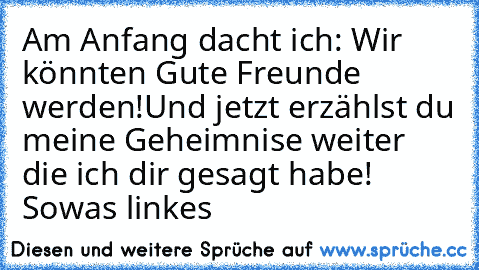 Am Anfang dacht ich: Wir könnten Gute Freunde werden!
Und jetzt erzählst du meine Geheimnise weiter die ich dir gesagt habe! Sowas linkes