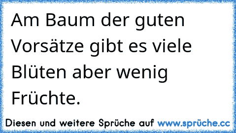 Am Baum der guten Vorsätze gibt es viele Blüten aber wenig Früchte.