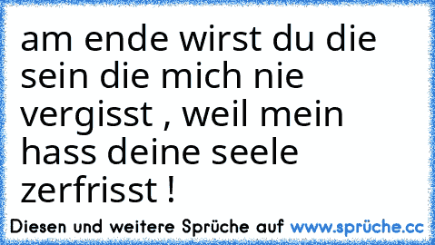 am ende wirst du die sein die mich nie vergisst , weil mein hass deine seele zerfrisst !