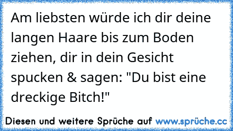 Am liebsten würde ich dir deine langen Haare bis zum Boden ziehen, dir in dein Gesicht spucken & sagen: "Du bist eine dreckige Bitch!"