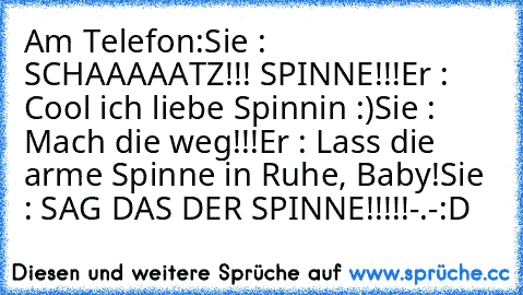 Am Telefon:
Sie : SCHAAAAATZ!!! SPINNE!!!
Er : Cool ich liebe Spinnin :)
Sie : Mach die weg!!!
Er : Lass die arme Spinne in Ruhe, Baby!
Sie : SAG DAS DER SPINNE!!!!!
-.-
:D