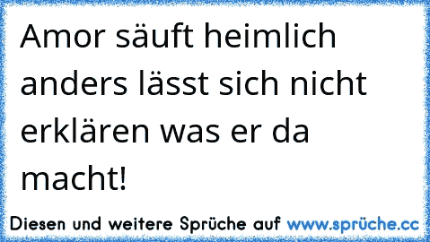 Amor säuft heimlich anders lässt sich nicht erklären was er da macht!