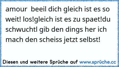 amour  beeil dich gleich ist es so weit! los!gleich ist es zu spaet!
du schwuchtl gib den dings her ich mach den scheiss jetzt selbst!