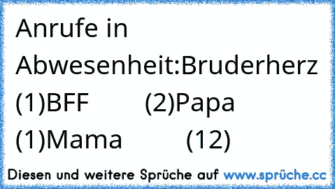 Anrufe in Abwesenheit:
Bruderherz (1)
BFF ♥       (2)
Papa           (1)
Mama         (12)