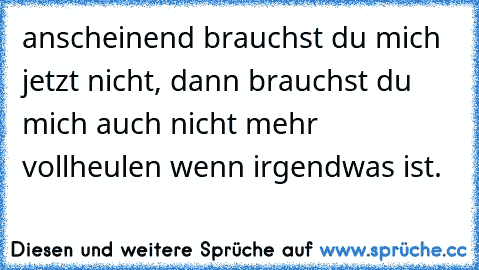 anscheinend brauchst du mich jetzt nicht, dann brauchst du mich auch nicht mehr vollheulen wenn irgendwas ist.