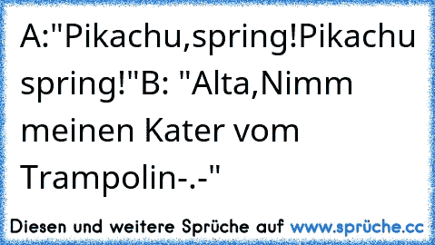 A:"Pikachu,spring!Pikachu spring!"
B: "Alta,Nimm meinen Kater vom Trampolin-.-"