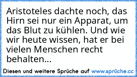 Aristoteles dachte noch, das Hirn sei nur ein Apparat, um das Blut zu kühlen. Und wie wir heute wissen, hat er bei vielen Menschen recht behalten...