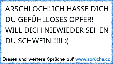 ARSCHLOCH! ICH HASSE DICH DU GEFÜHLLOSES OPFER! WILL DICH NIEWIEDER SEHEN DU SCHWEIN !!!!! :(