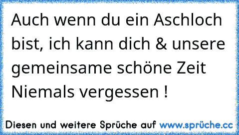 Auch wenn du ein Aschloch bist, ich kann dich & unsere gemeinsame schöne Zeit Niemals vergessen ! ♥