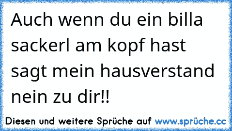 Auch wenn du ein billa sackerl am kopf hast sagt mein hausverstand nein zu dir!!