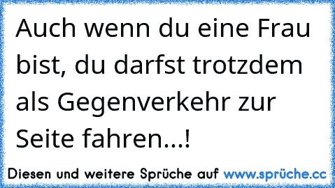 Auch wenn du eine Frau bist, du darfst trotzdem als Gegenverkehr zur Seite fahren...!