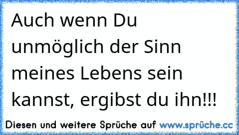 Auch wenn Du unmöglich der Sinn meines Lebens sein kannst, ergibst du ihn!!!