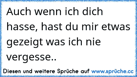 Auch wenn ich dich hasse, hast du mir etwas gezeigt was ich nie vergesse..