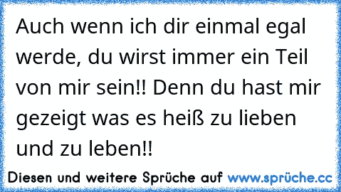 Auch wenn ich dir einmal egal werde, du wirst immer ein Teil von mir sein!! Denn du hast mir gezeigt was es heiß zu lieben und zu leben!!