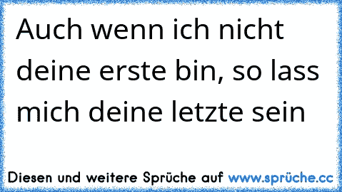 Auch wenn ich nicht deine erste bin, so lass mich deine letzte sein ♥