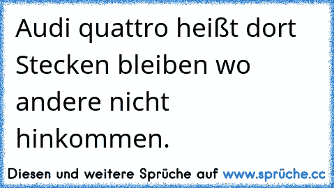 Audi quattro heißt dort Stecken bleiben wo andere nicht hinkommen.