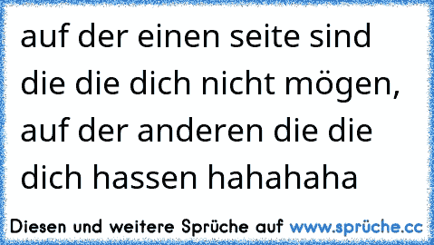 auf der einen seite sind die die dich nicht mögen, auf der anderen die die dich hassen hahahaha